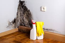 Mold Odor Removal Services in Chillicothe, IL